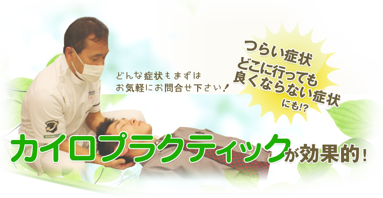 稲沢市 一宮市のカイロプラクティック ハーモニーは身体全体のバランスを整え本来の自然治癒力を高めます